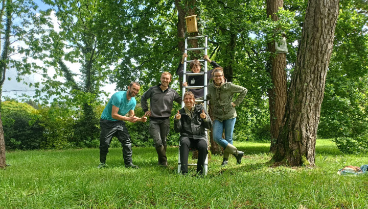 Des mésanges pour éliminer les chenilles processionnaires à Coëtquidan (56)